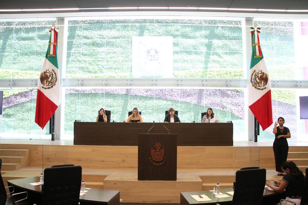 Sesión de Pleno 1 1