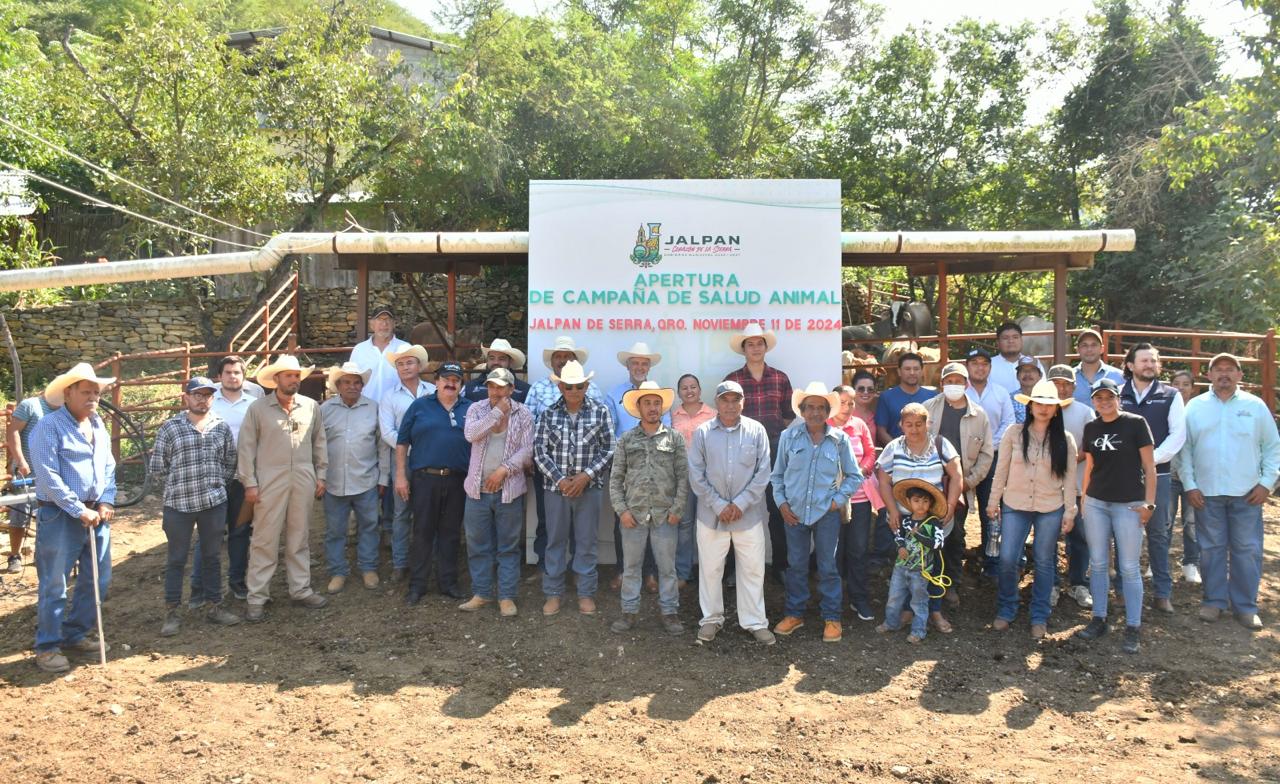 INICIÓ LA CAMPAÑA DE SALUD ANIMAL EN EL MUNICIPIO DE JALPAN, UNA INICIATIVA QUE SE ENFOCARÁ PRINCIPALMENTE EN EL APOYO A LOS PRODUCTORES DE GANADO BOVINO.