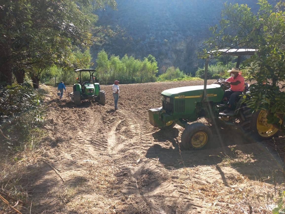 MUNICIPIO DE PEÑAMILLER APOYA A LOS PRODUCTORES EN LA SIEMBRA DE AVENA