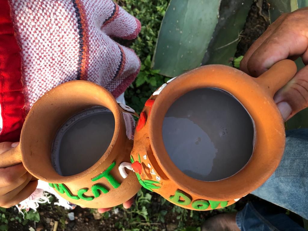 PULQUEANDO EN BOYÉ: UN FESTIVAL LLENO DE TRADICIÓN Y CULTURA EN CADEREYTA