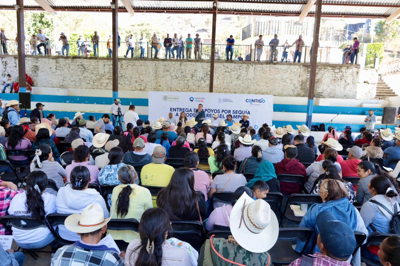 ENTREGA DE MAÍZ A PRODUCTORES LOCALES EN ZONA BAJA DEL MUNICIPIO DE PINAL DE AMOLES