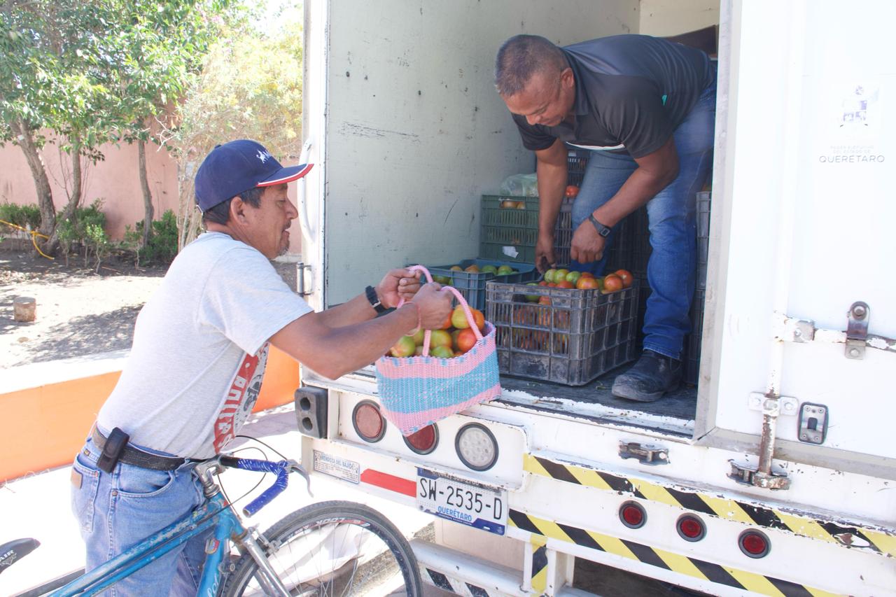 DIF MUNICIPAL DE COLÓN ENTREGA JITOMATE Y CHILE MORRÓN EN DISTINTAS COMUNIDADES DEL MUNICIPIO.